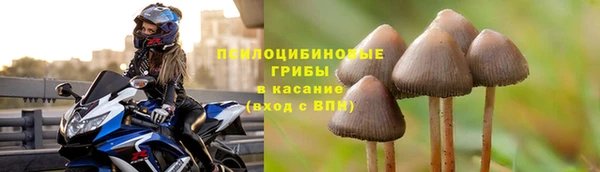 хмурый Алексин