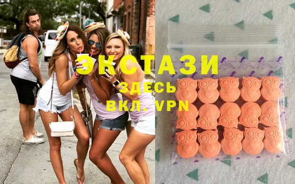 хмурый Алексин