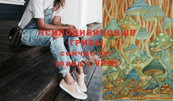 стафф Алексеевка