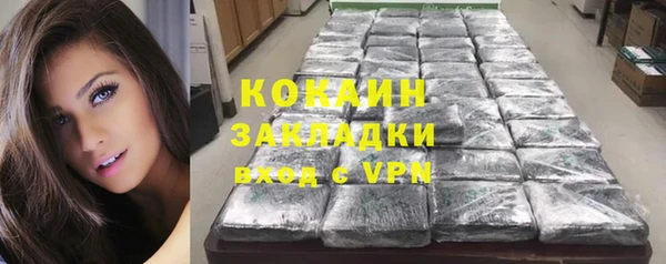 молекула духа Козловка