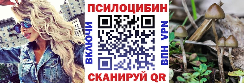 Псилоцибиновые грибы MAGIC MUSHROOMS магазин Красноуральск